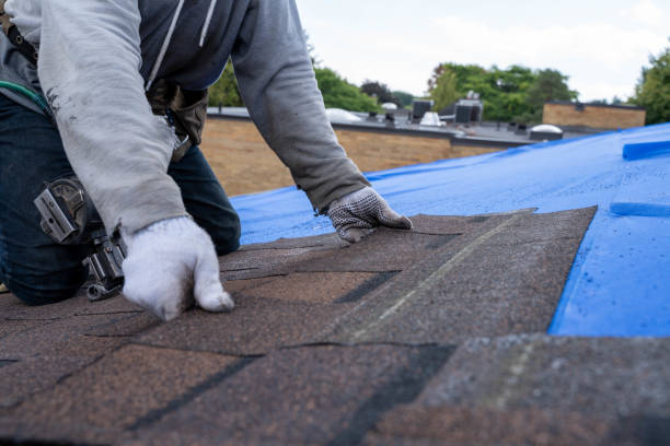 Best Local Roofing Companies  in Warren, IN