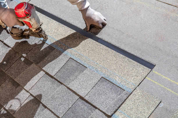 Best Metal Roofing Contractor  in Warren, IN
